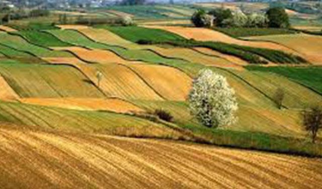 Tarım İl Müdürlüğünden hazineye ait tarım arazileri ile ilgili açıklama