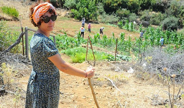 En düşük süt fiyatı kaç lira olmalı?
