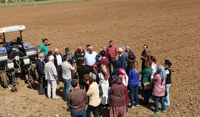 Nohut tohumları toprakla buluştu!