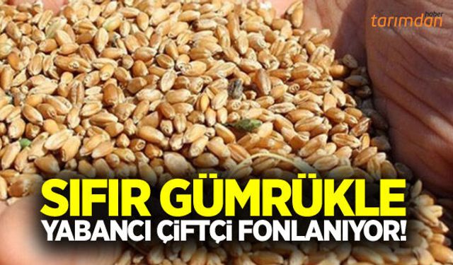 Son dakika... Sıfır gümrükle yabancı çiftçi fonlanıyor!