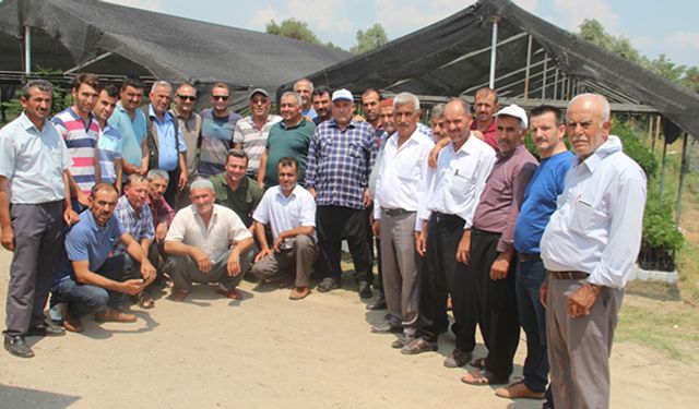 Manisa’da üzüm bağlarını incelediler