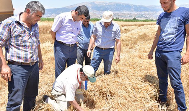 Kahramanmaraş’ta hedef sıfır dane kaybı