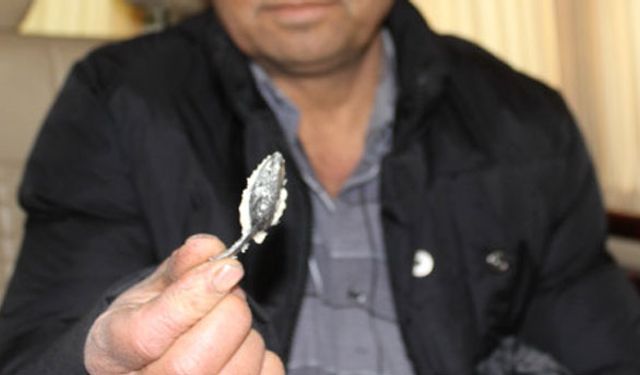 Ekmekten öyle bir şey çıktı ki...