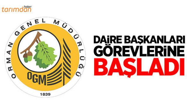 Orman Genel Müdürlüğü’nde daire başkanları değişti