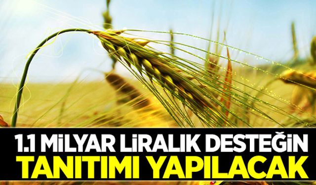 1.1 milyar liralık desteğin tanıtımı yapılacak