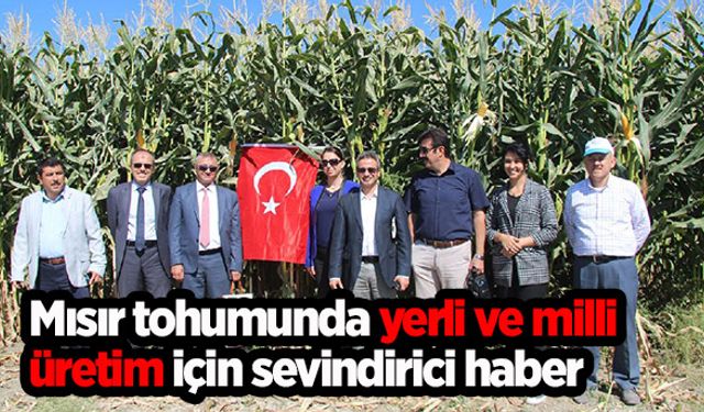 Mısır tohumunda sevindirici haber!