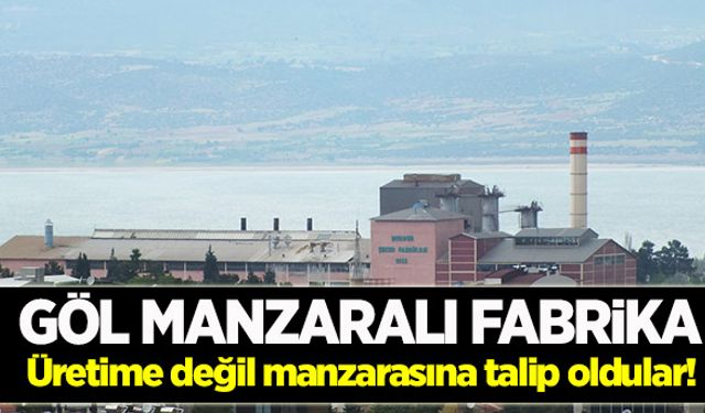 Şahane satış: Göl manzaralı fabrika!