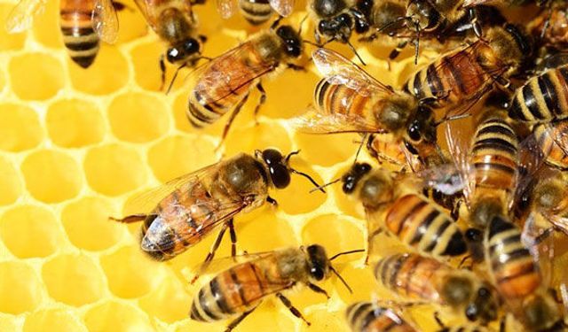 Dünyada ikincisiyiz!