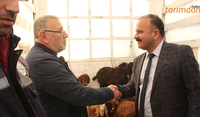 Küçükbaş hayvan ihracatı yapıldı