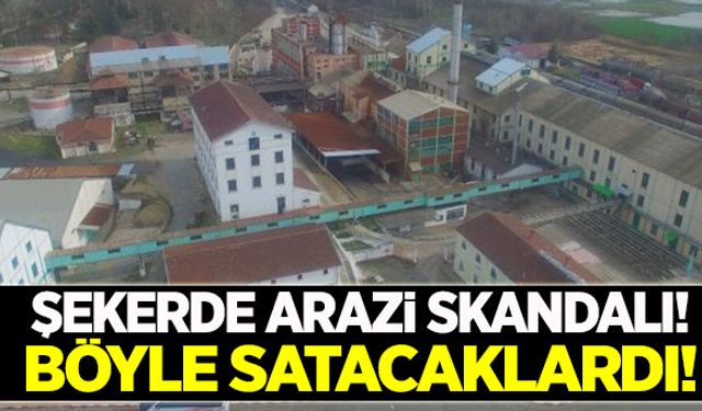Şeker fabrikalarının arazilerinde büyük skandal!