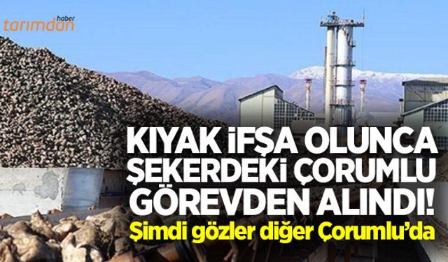 Şekerdeki Çorumlu görevden alındı!
