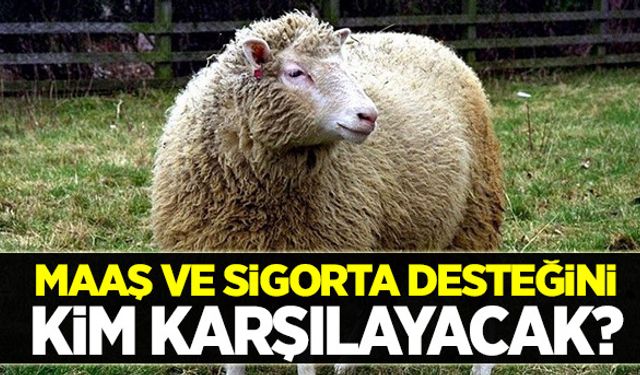 Maaş ve sigorta desteğinde devlet katkısı olacak mı?