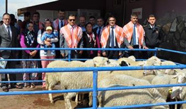 Manisa’da genç çiftçinin yüzü güldü