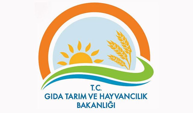 Bakanlıktan "koordinatörlük" hamlesi