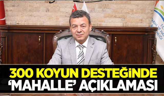 300 koyun desteğinden mahalleler olumsuz etkilenmeyecek!