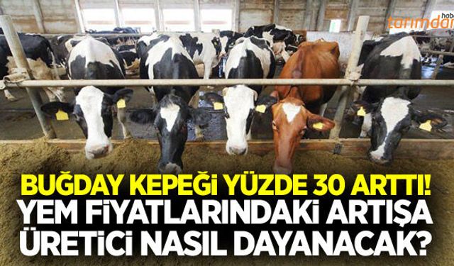 Buğday kepeği fiyatları 1 ayda yüzde 30 arttı!