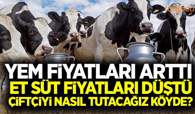 Süt yem paritesi bozuldu süt üretimi yüzde 15 düştü!