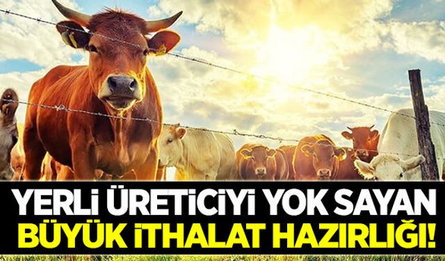 500 bin baş kasaplık hayvan ithal edilecek!