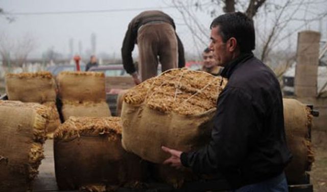 Bakanlık harekete geçti