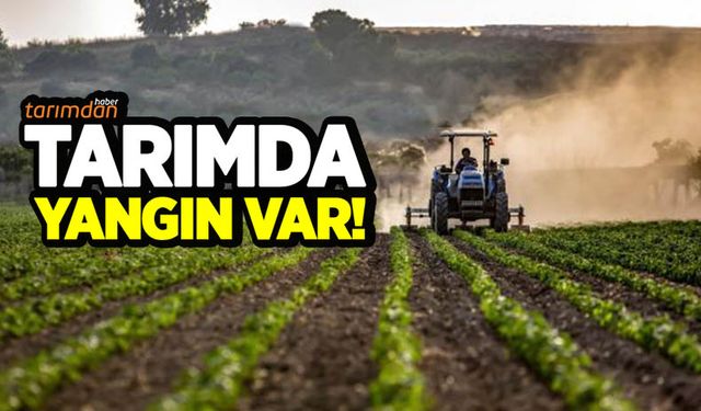 Tarımda yangın var!