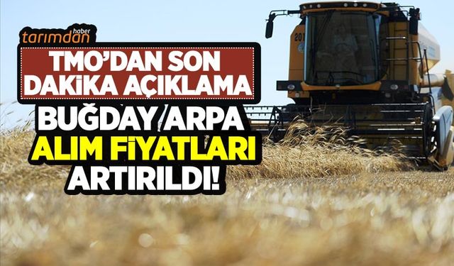 TMO'dan son dakika açıklama: 2022 buğday arpa alım fiyatları artırıldı!