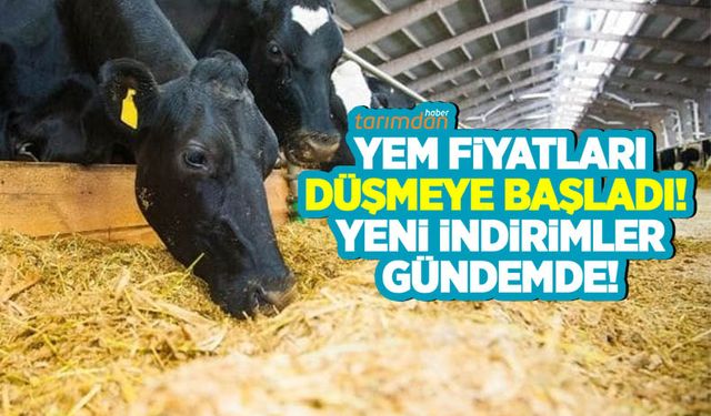 Yem fiyatları düşmeye başladı! Kurlar düşmeye devam ederse yeni indirimler gelebilir!