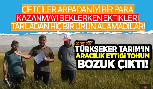 Arpa fiyatları yükseldi çiftçi iyi bir para kazanmayı beklerken ektiği tarladan hiç bir ürün alamadı!