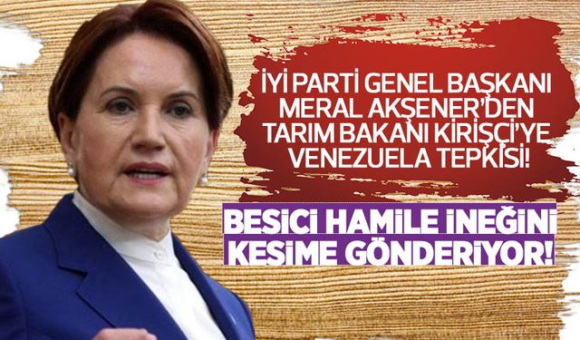 Meral Akşener'den Tarım Bakanı Kirişçi'ye Venezuela tepkisi! Besici hamile ineğini kesime gönderiyor!