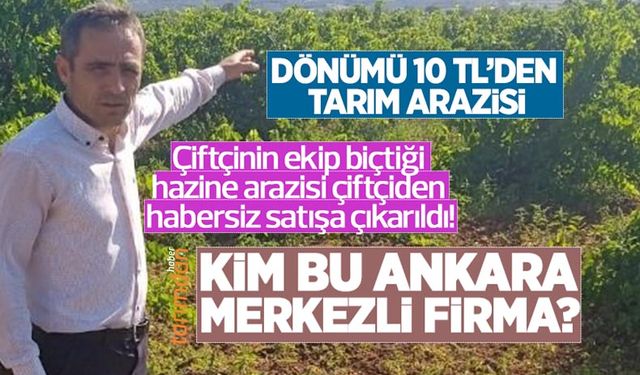 Çiftçinin ekip biçtiği hazine arazisi çiftçiden habersiz satışa çıkarıldı! Kim bu Ankara merkezli firma?