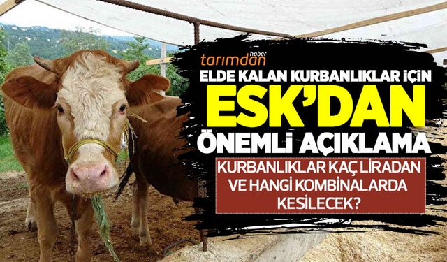 Elde kalan kurbanlıklarla ilgili ESK'dan açıklama! ESK kurbanlıkları kaç liradan kesecek? İşte kesim yapacak kombinalar