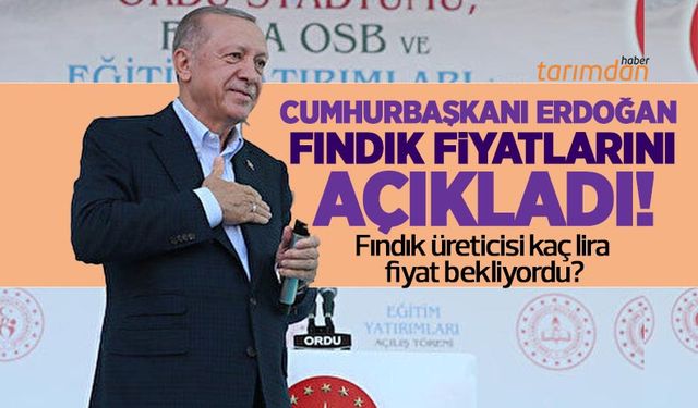Fındık fiyatları Cumhurbaşkanı Erdoğan tarafından açıklandı! Üretici kaç lira fındık fiyatı bekliyordu?