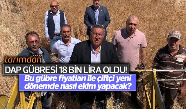 Gübreye fiyatlarına yeni zam! Gübre zammı çiftçiyi şimdiden kara kara düşündürmeye başladı! DAP gübresi kaç lira oldu?