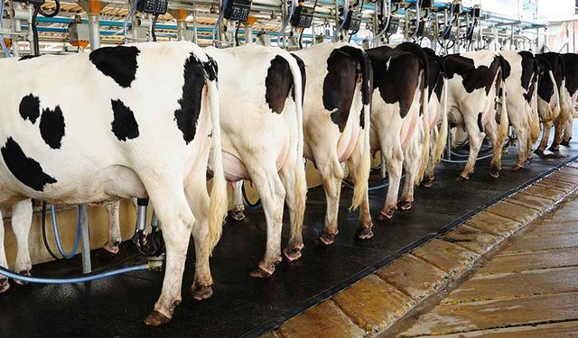 Vatandaş etten iyice uzaklaşacak! Et fiyatlarına yine zam geldi ikinci bir zam da yolda