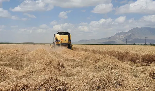 Tarım Kredi 2025 kredi limiti ve başvuru şartları
