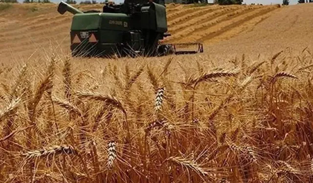 TMO’dan çiftçiye ödeme! Lisanslı depolar üzerinden TMO'ya ürün satan çiftçilere ödemeler yapıldı!