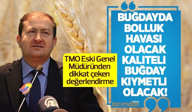 Buğdayda bolluk havası olacak, kaliteli buğday kıymetli olacak! TMO eski Genel Müdüründen dikkat çeken değerlendirme!