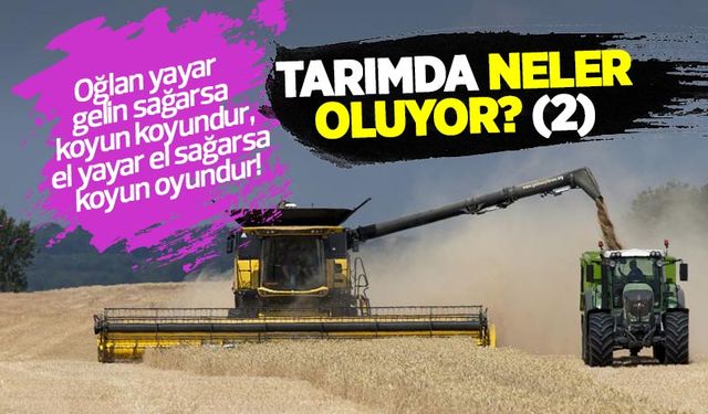 Tarımda neler oluyor? 2