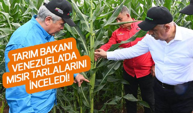 Tarım Bakanı Venezuela'da mısır tarlalarında incelemelerde bulundu!