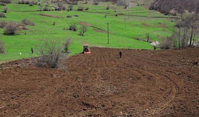 Arazi bankacılığı nedir? Türkiye'de 2 milyon hektar atıl tarım arazisi için ne anlam ifade ediyor?