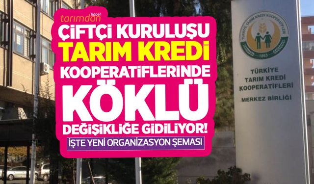 Tarım Kredi Kooperatiflerinde köklü değişikliğe gidiliyor!