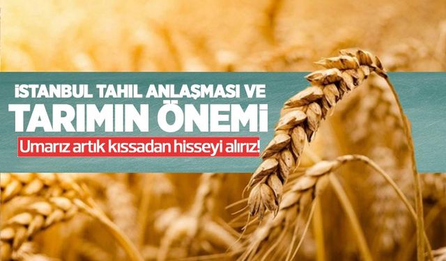 Rusya anlaşmadan bir gün sonra Odessa limanını vurdu!