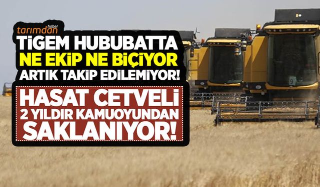 TİGEM hububatta ne ekip ne biçiyor artık takip edilemiyor! İşletmeler itibariyle hasat cetveli 2 yıldır yayınlanmıyor!
