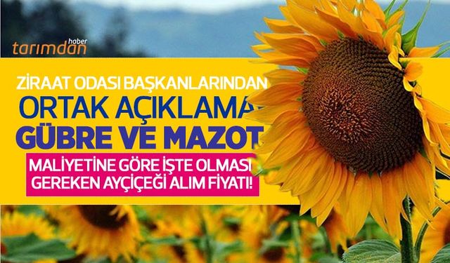 2022 yılı ayçiçeği alım fiyatı kaç lira olmalı? Gübre ve mazot maliyetine göre işte olması gereken ayçiçeği alım fiyatı!