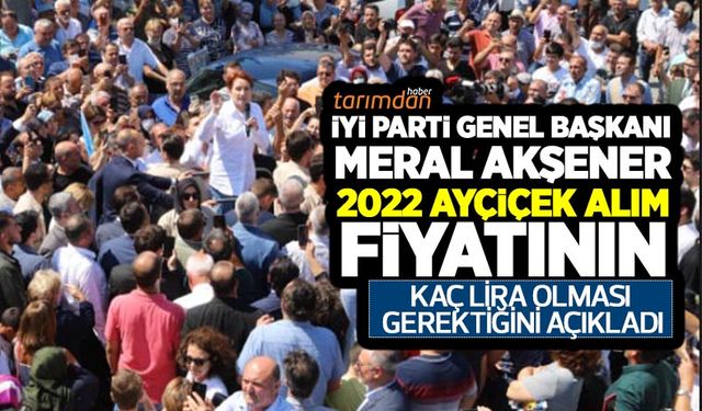 Ayçiçeği alım fiyatı (2022) kaç lira olmalı? Meral Akşener: Ayçiçeğinde sulu ve kuru tarıma göre fiyat açıklanmalı