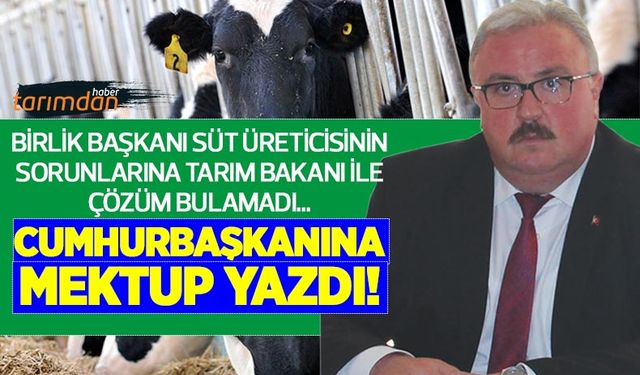 Birlik Başkanı süt üreticisinin sorunlarına Tarım Bakanı ile çözüm bulamadı Cumhurbaşkanına mektup yazdı!