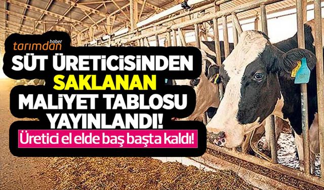 Süt üreticisinden saklanan 1 litre sütün üretim maliyet tablosu yayınlandı! Üretici el elde baş başta kaldı!