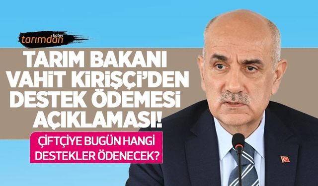 Tarım Bakanı Vahit Kirişçi’den tarımsal destek ödemesi açıklaması! 19 Ağustos hangi destekler ödeniyor?