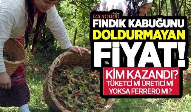 Fındık kabuğunu doldurmayan fiyat!