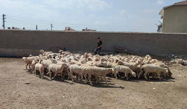 Tarım İl Müdürlüğünden Uzman Eller Projesi açıklaması! Projeden kaç üretici yararlandı ve ne kadar hibe ödemesi yapıldı?