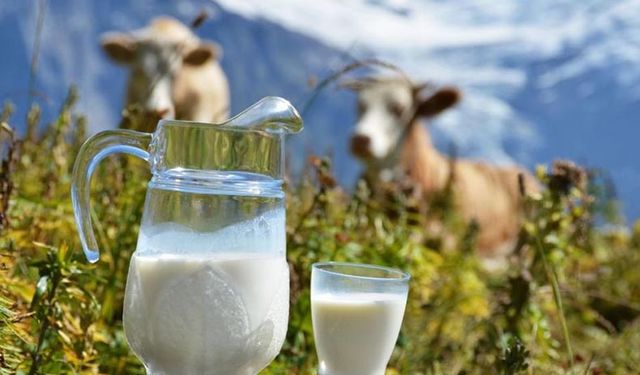 Çiğ süt desteğinde askı takvimi duyurusu! Ekim, Kasım Aralık icmalleri Şubat’ta askıya çıkıyor